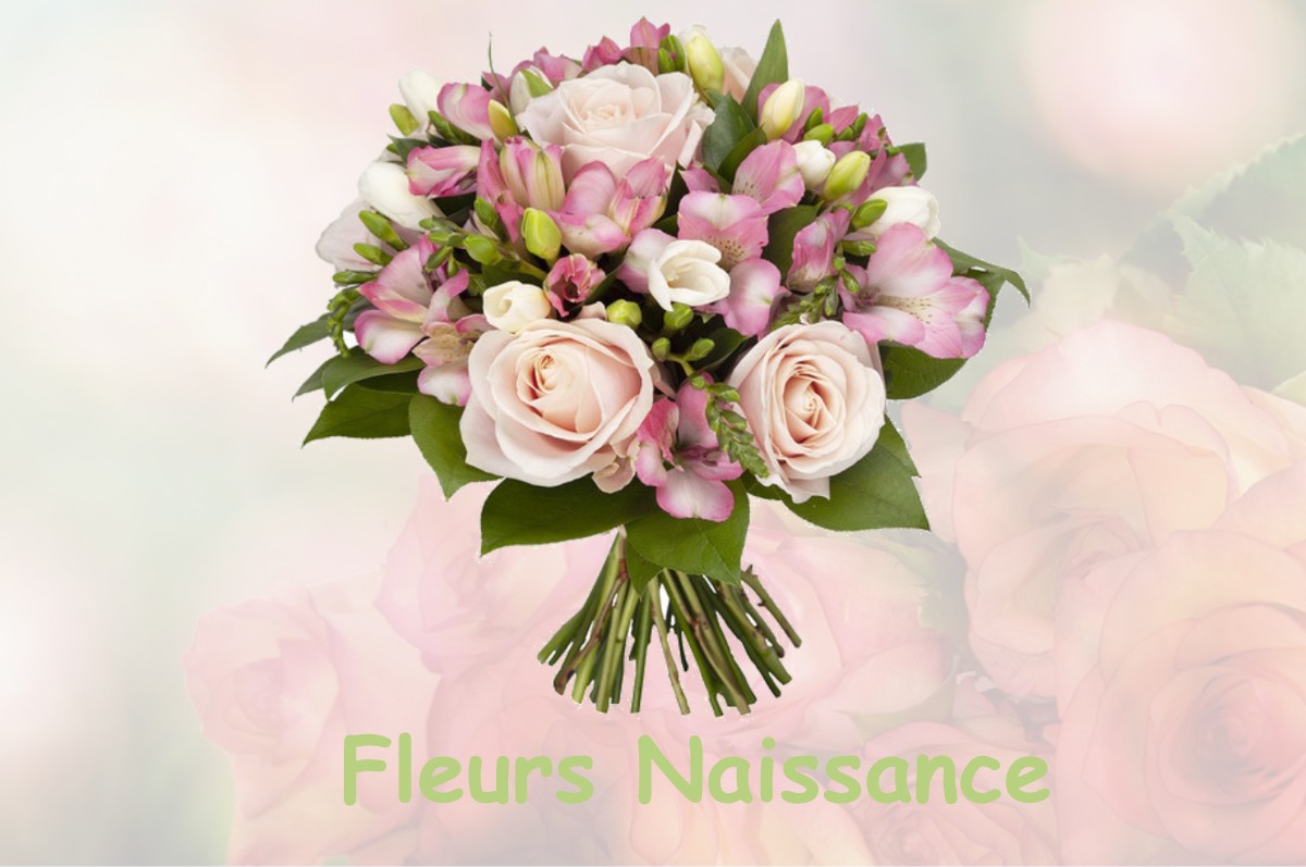 fleurs naissance ABLAINCOURT-PRESSOIR
